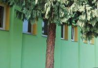 Snížení energetické náročnosti MŠ Na Liščině 12A/689, Ostrava-Hrušov